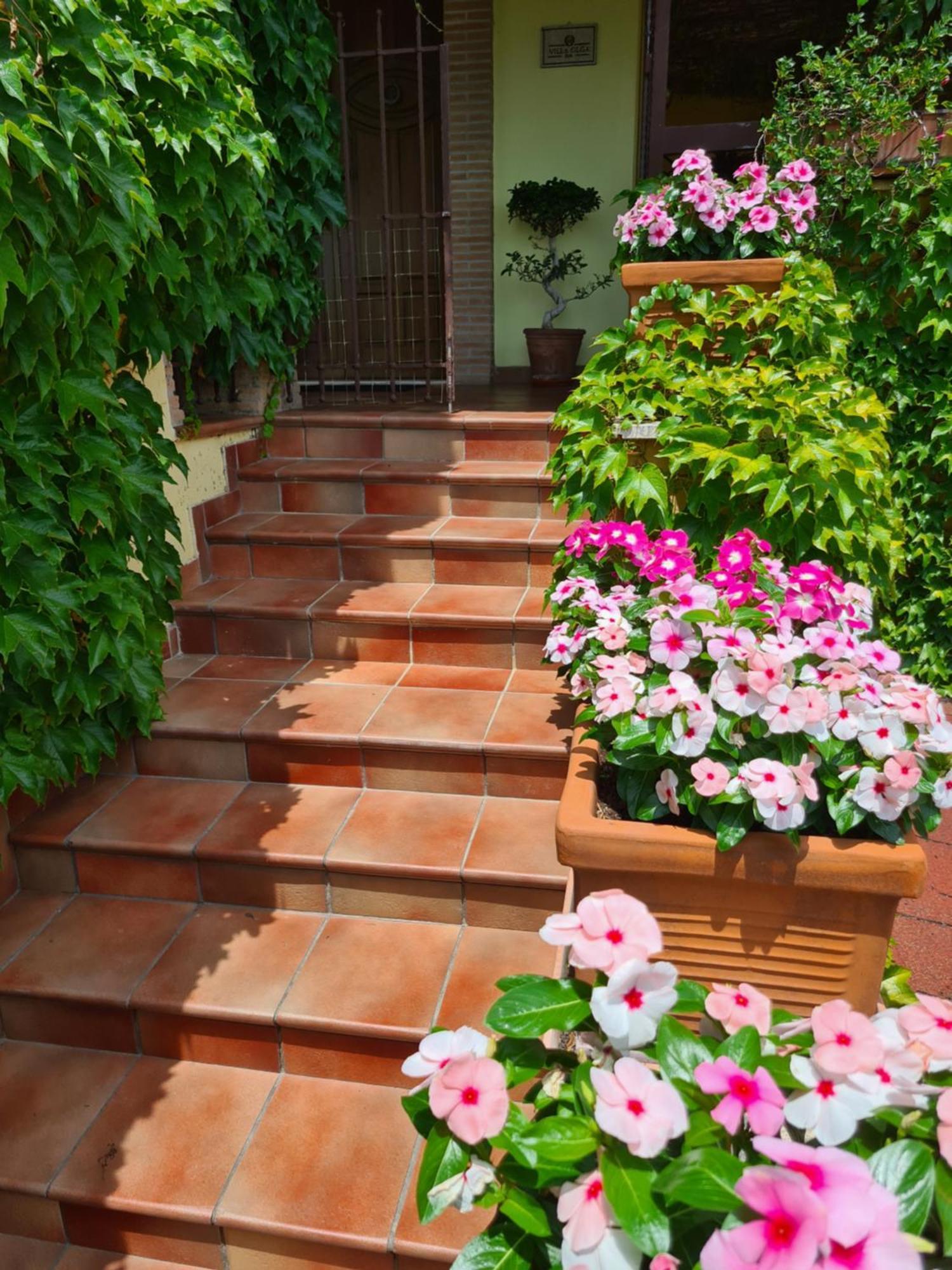 Villa Olga B&B Formia Kültér fotó