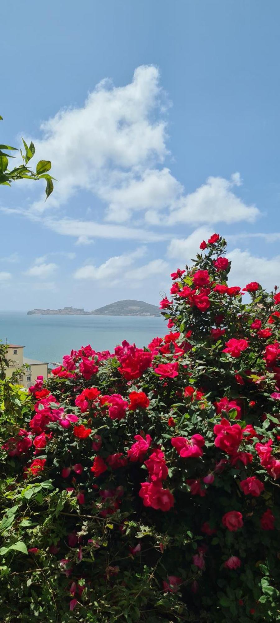 Villa Olga B&B Formia Kültér fotó