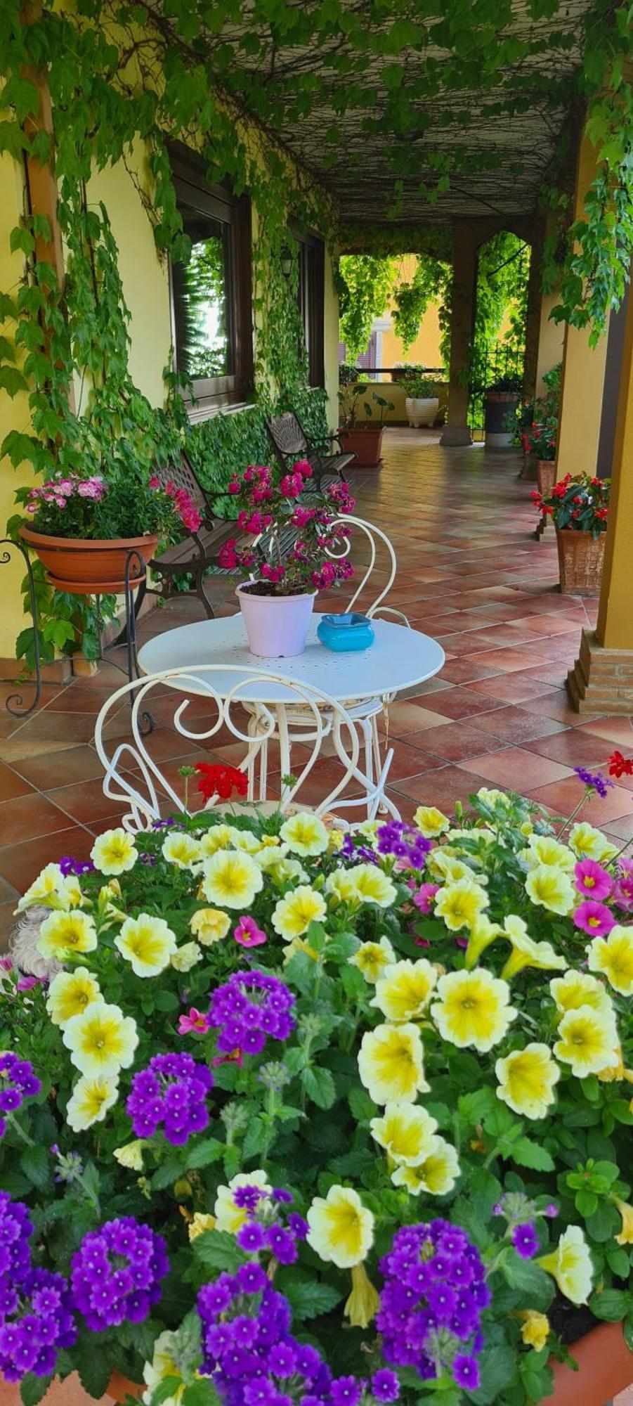 Villa Olga B&B Formia Kültér fotó