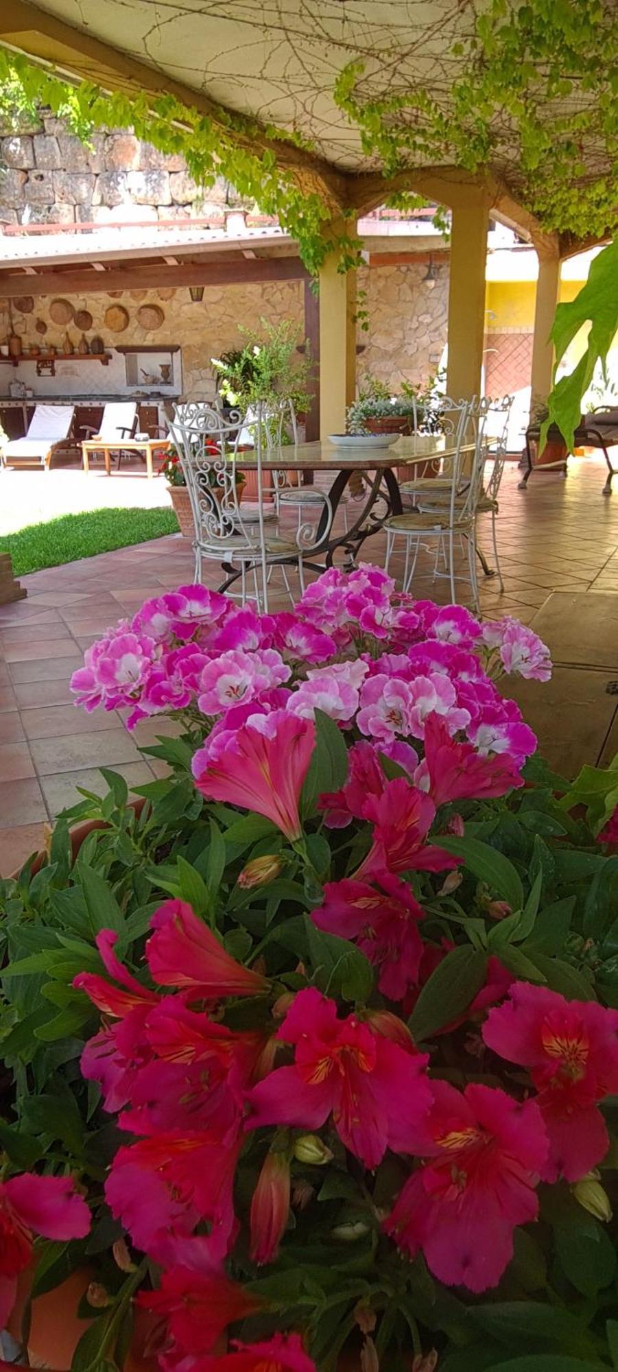 Villa Olga B&B Formia Kültér fotó